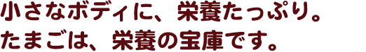 小さなボディに、栄養たっぷり。たまごは、栄養の宝庫です。