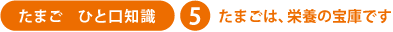 たまご　ひと口知識-5　たまごは、栄養の宝庫です